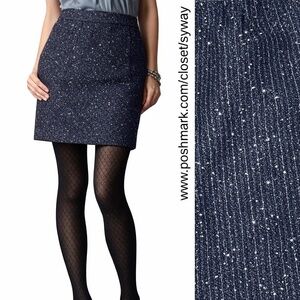 Ann Taylor Loft Navy Metallic Skirt